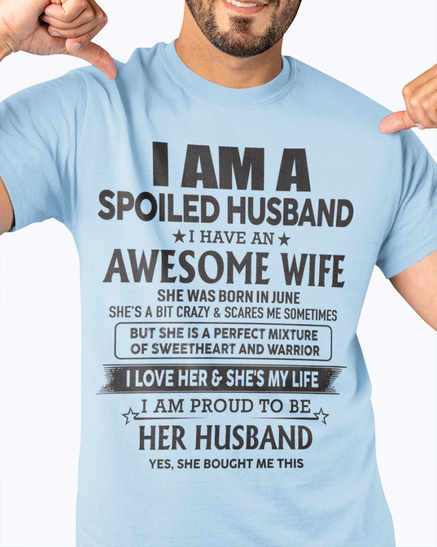 Awesome Wife born in June - Special gift for your Husband - HL06 (SKU06-50)