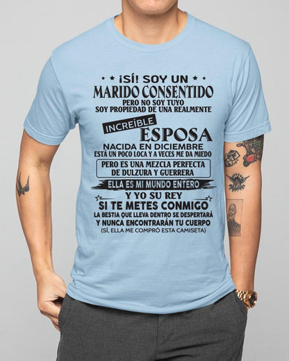 Diciembre - Esposa increíble nació en diciembre - Regalo especial para Marido - T12 (SKU05-105-12)